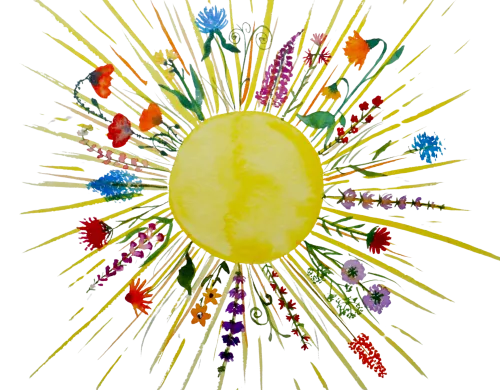 Praxis Lichtvoller Sommer - Bettina Sommer