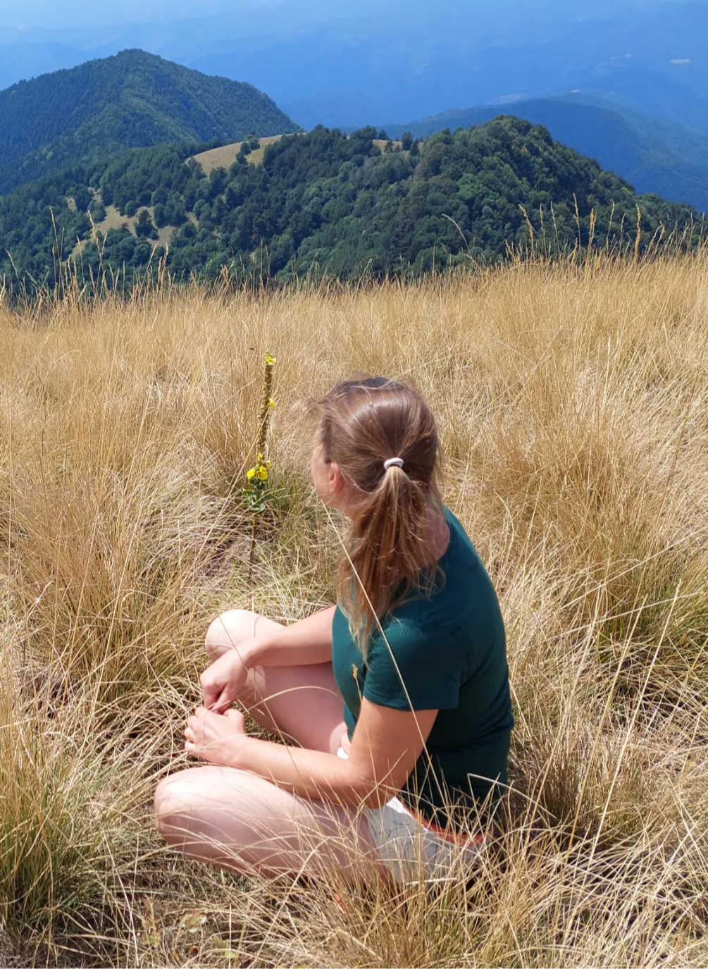 20220825-133529.1.65f2bceb9ac3b